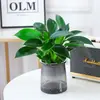 Filodendro Princesa Hoja Grande Diamante Dorado Planta Verde Fresca Divertida de Escritorio para Interiores Planta en Maceta Fácil de Mantener Florales y Plantas Hermosas