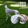 Correa para mascotas, correa retráctil automática para perros pequeños y medianos, correa para pasear Corgis al aire libre, en stock para venta al por mayor