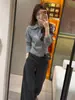 Suéter de Tricô Leve Estilo Miu para Negócios com Manga Longa para Mulheres, Versão Coreana Outono e Inverno, Gola Polo, Camisa Base de Tricô Trançado, Suéter que Marca a Cintura