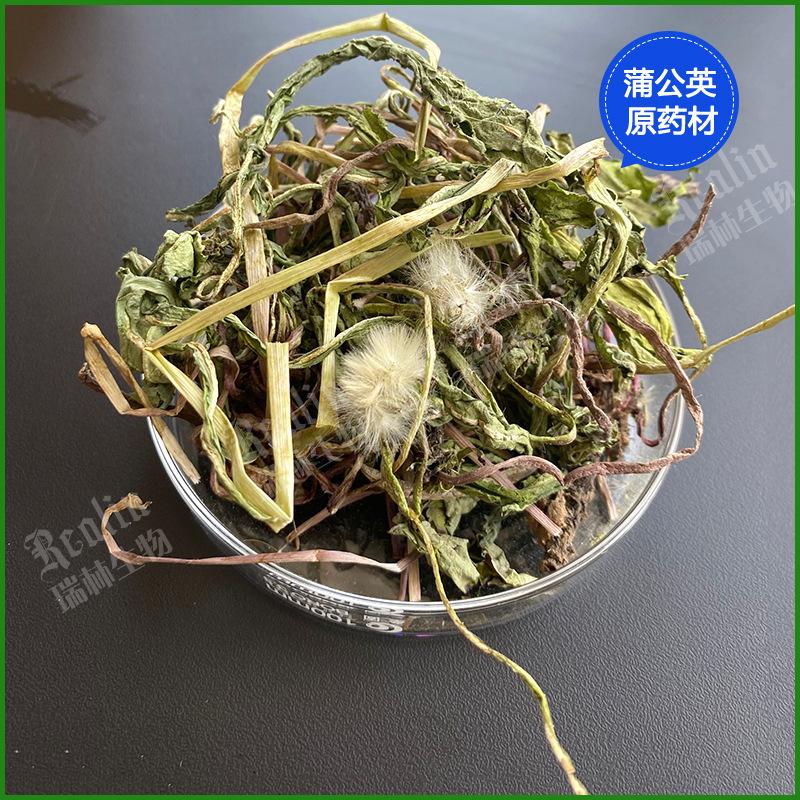 蒲公英原材详情