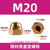 Tuerca de tapa de cobre de punto de fábrica, tornillo de tapa integrado, tuerca de cobre de tapa al por mayor M3M4M5-M20