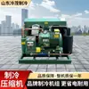 Compresor de Refrigeración Tipo Pistón Grande Industrial Ultra Baja Temperatura Congelación Rápida Almacenamiento Gran Cadena de Frío Almacén Frigorífico Unidad de Compresor de Refrigeración