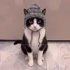 Gorro Lindo y Divertido para Mascota Disfraz de Gato Accesorio para la Cabeza Accesorios para Perro Collar Adornos Tejidos Nuevos 2026