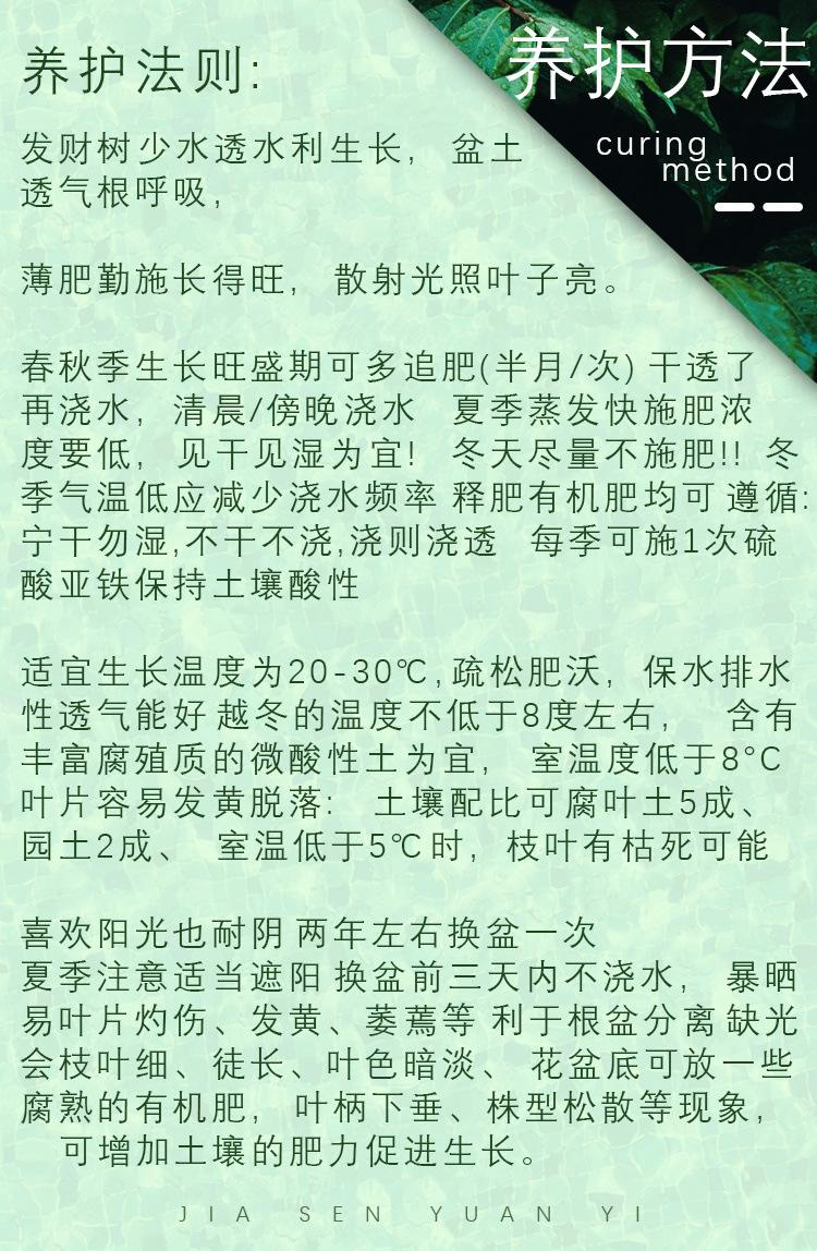 /O1CN01wBbGuM1dKRAVz0iIN_!!2218577413717-0-cib.jpg