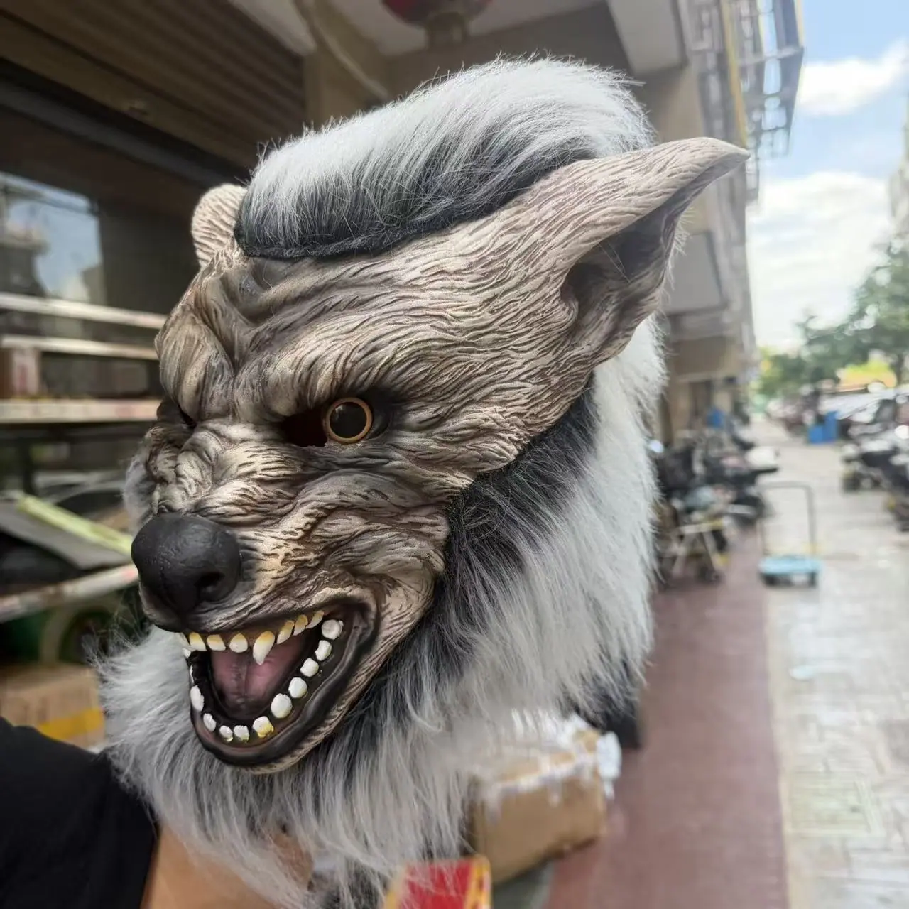 微信图片_20260518132857_74_1