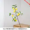 9 flores artificiais de limão com textura realista replicam naturalmente a sensação de limões, criando uma atmosfera fresca na entrada