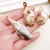 Colgantes de acrílico beige con forma de concha y caracola, ideales para manualidades. Accesorios para pulseras y collares.
