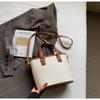 Bolsos de Alta Gama para Mujer, Nuevos Bolsos de Hombro Individual para Mujer de Primavera, Bolsos Cruzados de Moda con Textura, Bolsos Cubo para Mujer, Comercio Exterior