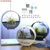 Piña de aire soporte creativo soporte de aire estante colgante nórdico planta sin tierra hierro creativo hogar pequeño