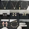 Coleção de Chegadas Diárias: Pulseiras, Brincos, Colares, Broches Dior, Chanel, Lv, Gucci, Hermes, Itens de Atacado de Marca