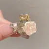 Grampo de Cabelo Pequeno Flor Rosa Tridimensional, Presilha de Cabelo Estilo Novo, Compacto e Delicado, para Franja e Cabelo Lateral, Acessório de Cabelo de Princesa