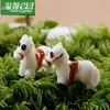 Micropaisaje de musgo, joyería ecológica embotellada, lindo mini corcel blanco, adornos de resina para montar DIY