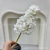 Plantas Verdes Artificiais para Casamento, Grama Aspargo Verde Estilo Floresta, Flores Artificiais Verdes, Materiais Florais Artificiais para Casamento, Série de Decoração para Salão de Casamento
