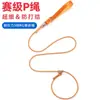 Corda de Tração P para Cães, Corrente P para Cães Adequada para Cães Pequenos, Médios e Grandes Corda Profissional para Treinamento de Cães Corda à Prova de Explosão para Cães Suprimentos para Animais de Estimação