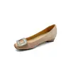 Sapatos de salto grosso com fivela quadrada de strass, aumento de 6 cm de altura, para mulheres, novo estilo outono 2026, estilo francês, forrados com fleece, quentes, bico quadrado, peludos