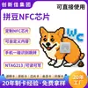 Arte com Miçangas de Desenho Animado Criativo Adesivo com Chip NFC Ntag213 Estilo Pixel Pingente de Arte com Miçangas DIY Etiqueta Inteligente RFID