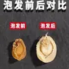 Abulón Seco de Dalian, Abulón de 200 Cabezas para Cocinar Gachas, Delicadezas Marinas Nutritivas