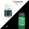 Polvo de Lentejuelas Luminosas con Brillo Transfronterizo 12 Colores Mezclados Polvo de Brillo Fluorescente Pegamento Flujo de Cáñamo DIY Lentejuelas Luminosas para Uñas