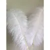 Plumas de Avestruz Reales 10-80CM Blancas Decoraciones para Pasillo de Boda Centros de Mesa Plumas de Avestruz DIY Accesorios Decorativos de Plumas Plumas Grandes