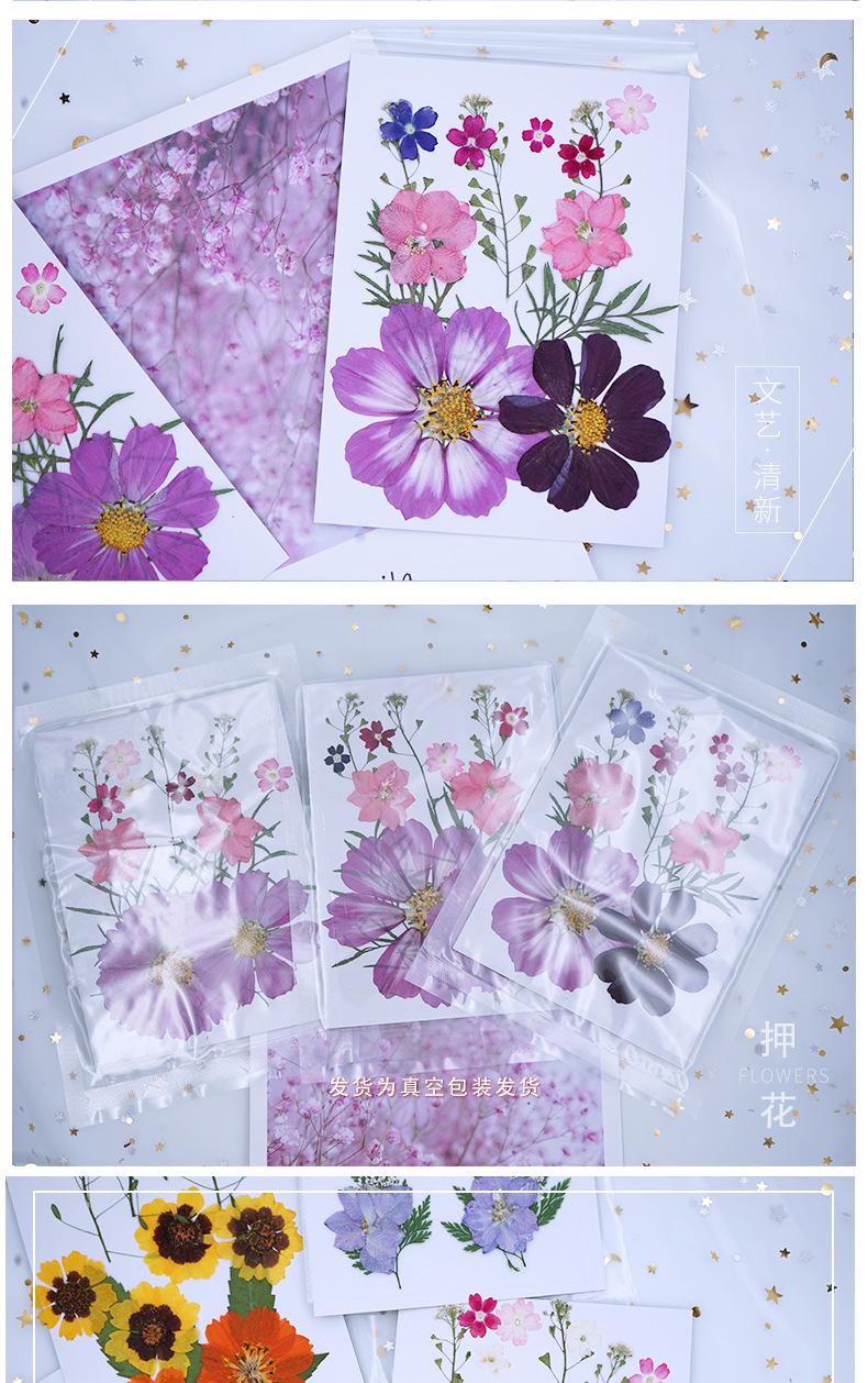 13片花包详情_05