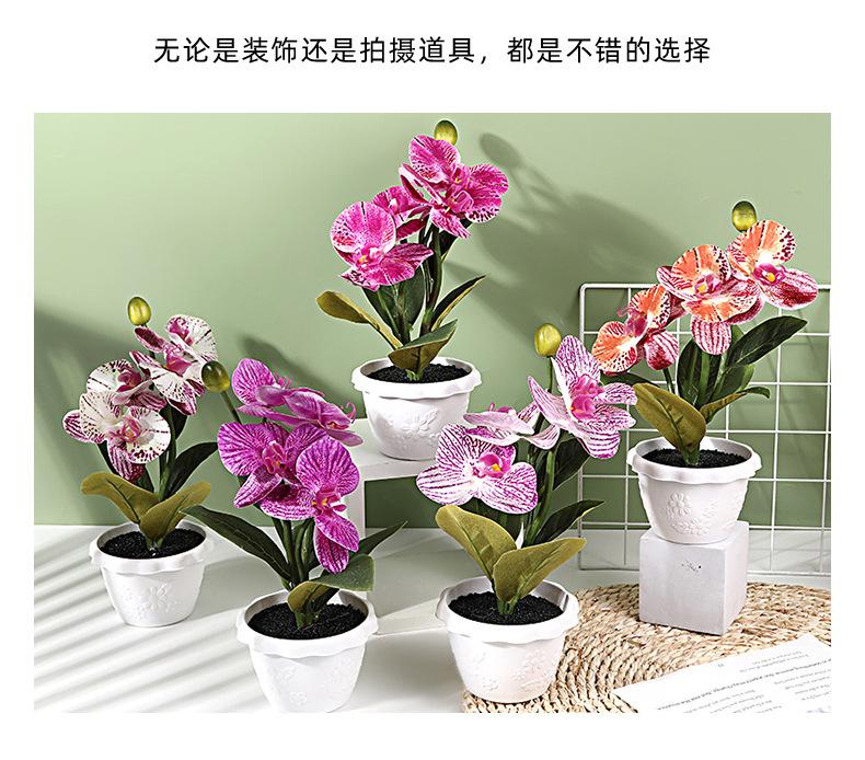 保侬详情_03.jpg