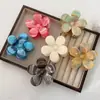 Pinza de Garra para el Cabello de Venta Caliente Transfronteriza, Textura Fluida Colorida, con Diseño de Flor Tridimensional, Pinza de Garra para el Cabello Ultra-Hada de Flor de Cinco Pétalos, Pinza de Garra para el Cabello de Gama Alta 2026