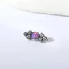 Aleación de Titanio F136 de Grado Médico Clúster de Cuentas Incrustadas Zirconia Labio Uña Aretes Nariz Cartílago Septum Piercing de Rosca Interna