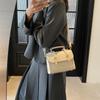 Bolsa Quadrada Pequena de Mão na Moda Feminina Estilo Coreano Ins Bolsa de Ombro de Alta Qualidade na Moda 2025 Nicho Retrô Casual Bolsa Feminina
