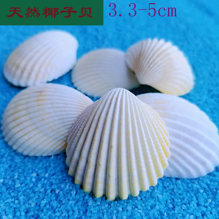 椰子