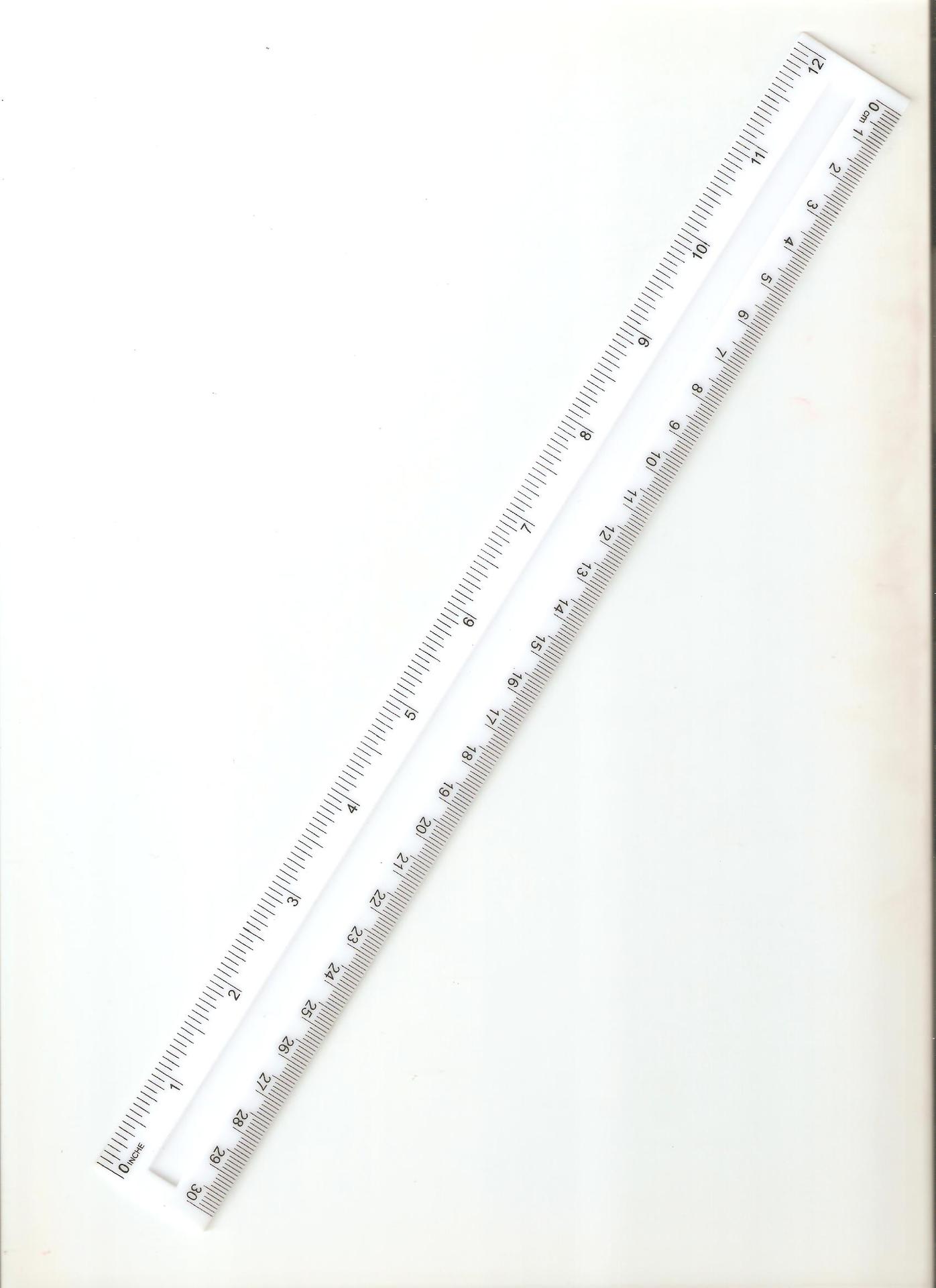 照片 19205