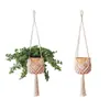 Bolsas de Malla para Macetas Transfronterizas, Cestas Colgantes de Cuerda de Algodón y Lino Tejidas a Mano, Macetas para Plantas Verdes de Interior y Exterior, Cestas Colgantes, Venta al por Mayor de Jardinería