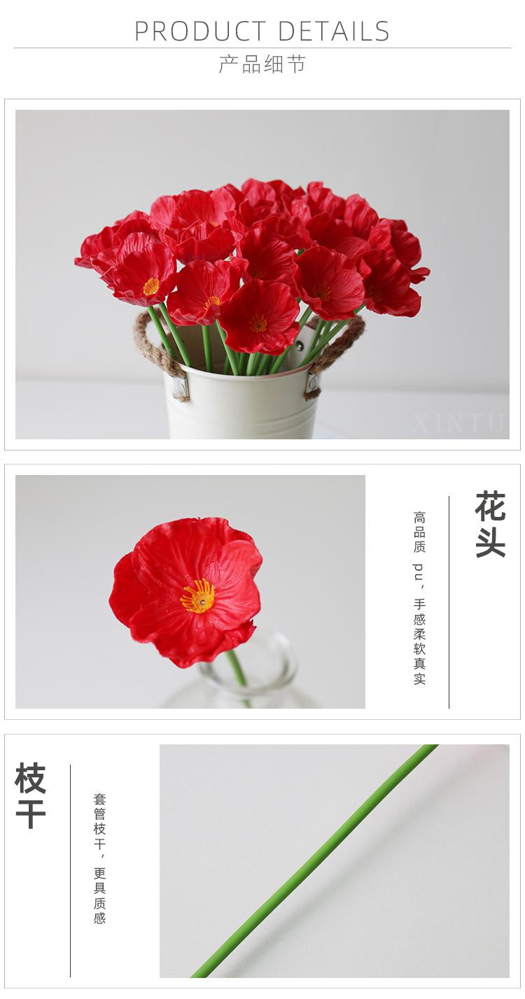 罂粟_10.jpg