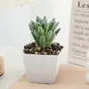 Planta Suculenta en Maceta de Pulpa Flocada, Maceta Decorativa para el Hogar y el Escritorio, Adornos Florales para Oficina, Plantas de Pulpa Transfronterizas
