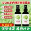 Nutrientes Especializados Promotores de Crecimiento y Potenciadores de Germinación para Suculentas, Plantas con Flor y Orquídeas; Venta al por mayor y Dropshipping