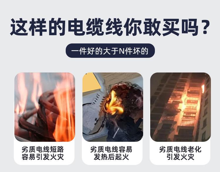 bv终版_06.jpg