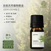 Aceites Esenciales Vegetales Naturales OEM en Stock, Aceites Esenciales Puros Individuales, Difusor de Aroma sin Llama, Terapia de Aromas para Uso en Oficina