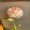 Peonía seca de simulación americana rosa peonía blanca peonía sala de estar flor artificial red de flores accesorios de disparo diseño de exhibición de espacio