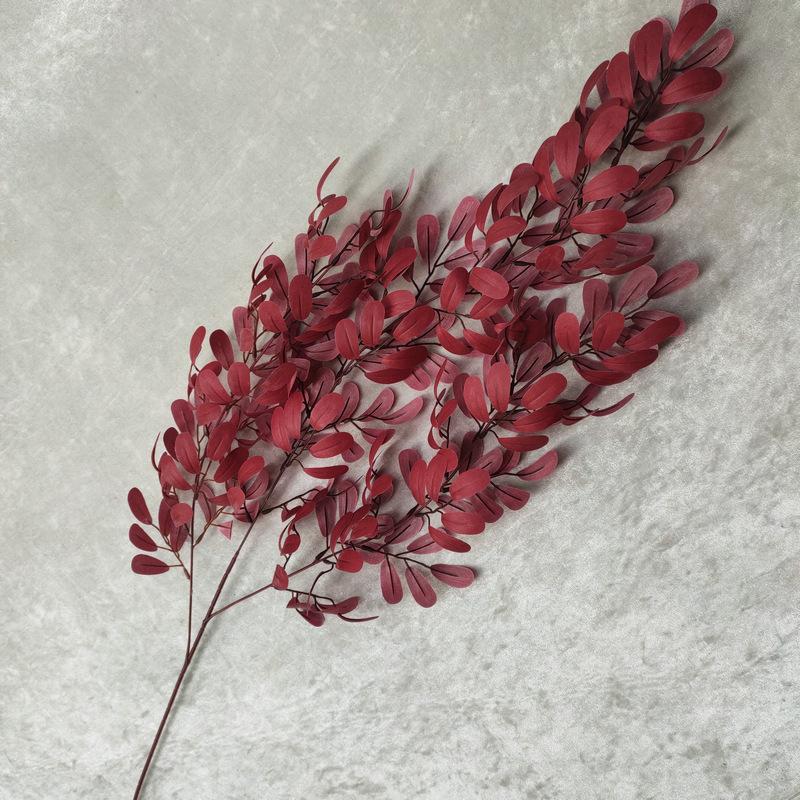 花生叶壁挂红色