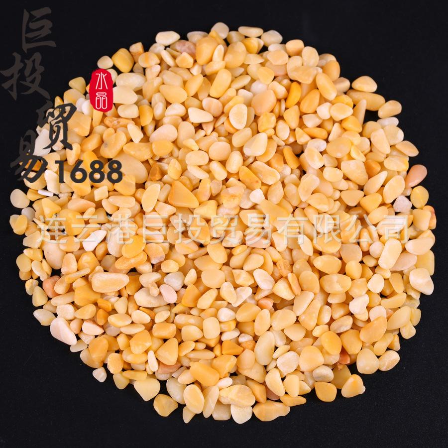 479A8409副本.jpg