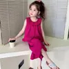 Conjunto de Verão para Meninas 2026 Novo Estilo Roupas de Verão Modernas e Elegantes para Bebês Meninas, Conjunto de Duas Peças com Colete sem Mangas para Crianças