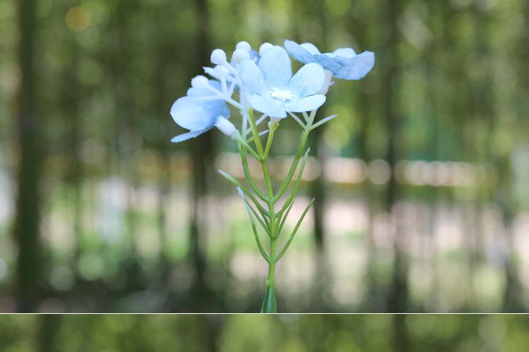 125-花草_06.jpg
