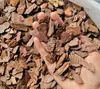 Corteza de pino venta directa para lecho de reptiles, material humectante y aislante para hámsteres, tortugas, serpientes, lagartos, terrarios de reptiles, lecho de reptiles al por mayor