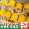 Maíz de fruta listo para comer, segmentos de maíz dulces y crujientes, cocido al vacío, sin cocción, desayuno fresco, snack para dormitorio estudiantil, sustituto de comida