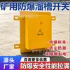 Interruptor de Bloqueo de Canaleta Antiexplosivo para Minería kbh-5/127, Dispositivo de Detección de Bloqueo de Canaleta de Transportador de Banda Se Puede Personalizar