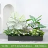 [Serie Y80] Decoración de Partición de Planta Verde Simulada Macetero Maceta Valla Paisajística de Plástico Biónico Diseño
