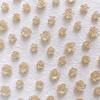 Joyas para Uñas de Flor de Camelia Morandi Retro Caliente Caliente Flor de Resina 3D Tono Vibrante Mismo Estilo