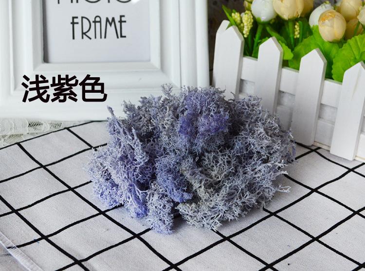 浅紫色