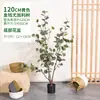 Árbol de dinero simulado plástico árbol falso planta árbol en maceta de pie sala de estar interior decoración de flores planta verde falsa bonsái