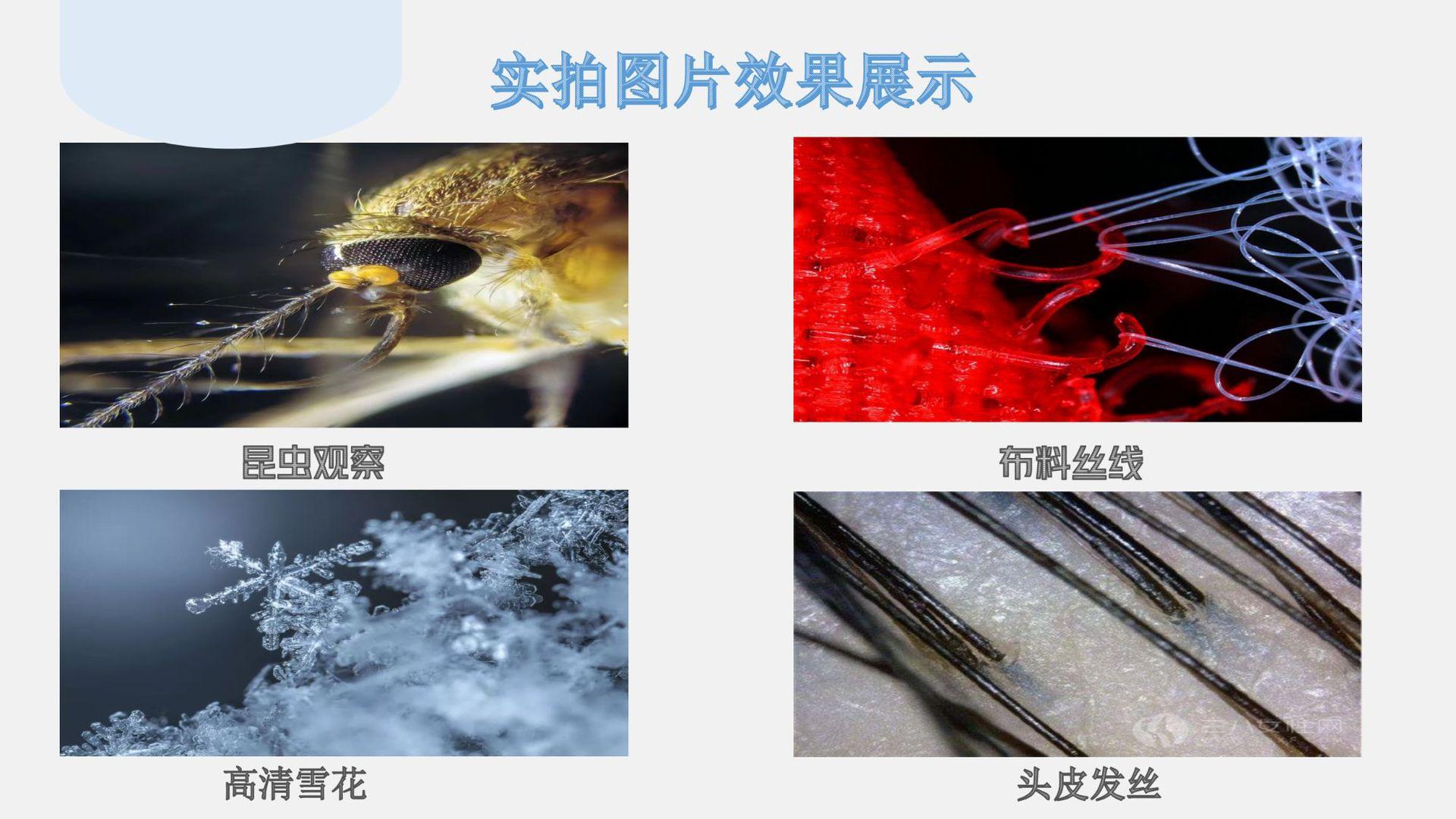 演示文稿6.pptx123_15