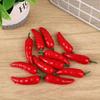 Pimiento Rojo Simulado Pimiento Verde Pimiento Planta Vegetal Simulada Pimiento Rojo Fotografía Educación Temprana Accesorios de Ventana